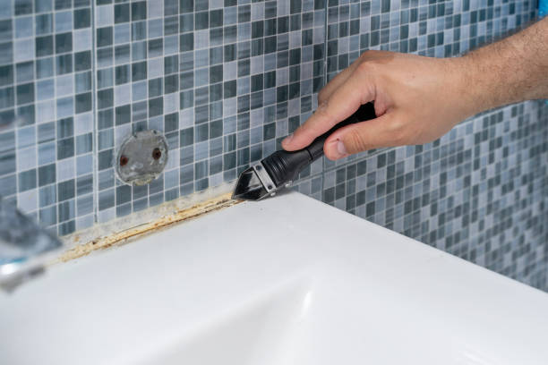 Best Emergency Mold Remediation in Whiteriver, AZ